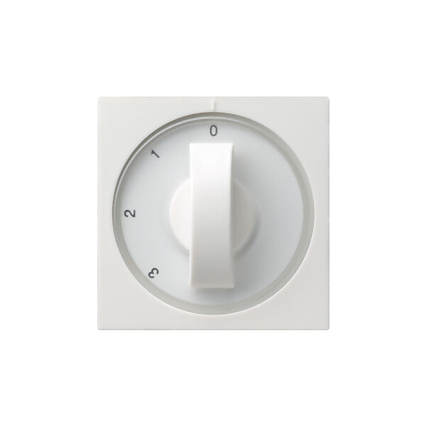 Gira Zentralplatte rws-gl m.Knebel f.3-Stufens 066903